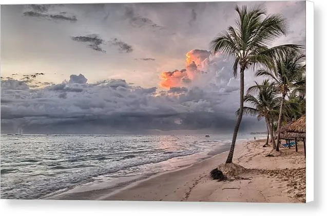 Palm Trees and Clouds - Canvas Print